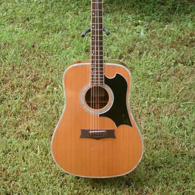 1977 Yairi YW600G Grammer Guitar Style New Jacaranda - Natural+Hard Case image 2
