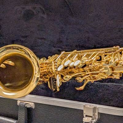 Alpine Woodwinds AAS143 2010's Alto Saxophone with Case - Gold image 17