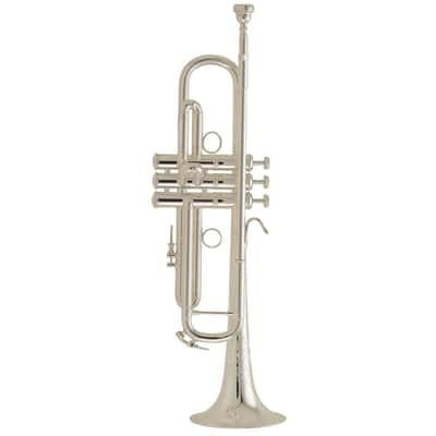 Bach LR190S43B Stradivarius Bb Trumpet Outfit - Silver Plated image 1