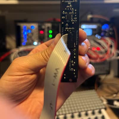 Noise Engineering Kith Ruina 2019 - Present - Black image 2