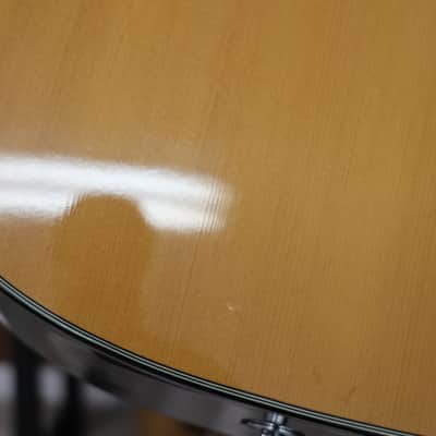 Takamine G Series EG-230 Acoustic/Electric 6-String Guitar image 8