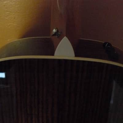 Taylor 214e SB DLX 2019 - Tabacco Sunburst image 8