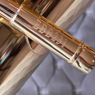 Andreas Eastman EBB-231 3/4 Tuba Rolling Cade and Moc image 5