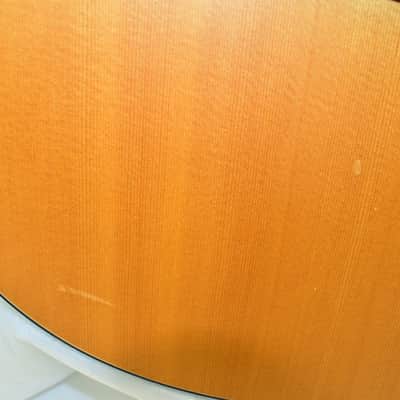 Breedlove AC250/SM-12 AC250SM 12-string Concert Acoustic Electric Guitar w/ Bag image 7