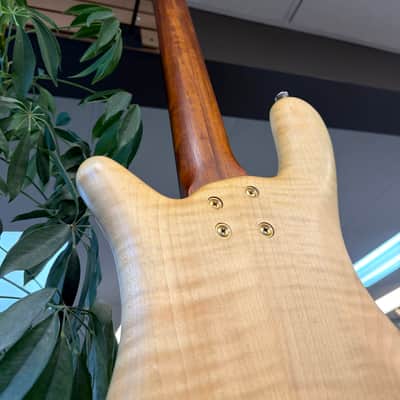 Warwick Streamer 5 LX German Made 2002 - Natural image 19