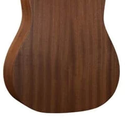 Martin DSS Biosphere II Acoustic Guitar w/SS image 11