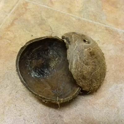 Natural 'Ethnic' Percussion instrument image 2