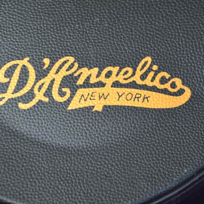 D'Angelico Hardcase for 15" semi-hollow guitars * Robust protection for your precious Instrument * image 3