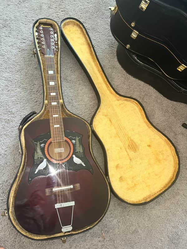 Ensenada GT81 Vintage 12-String Acoustic Guitar Double Dove / Mountain Pickguard w/ Case image 1
