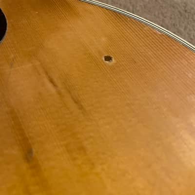 Hohner HG-730 1980 - Natural image 10