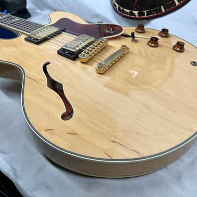 Epiphone Sheraton Semi-Hollow Body Electric Guitar image 19