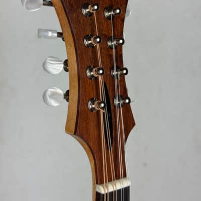 Tonedevil FM Mandolin 2026 - Tobacco Honey Amber Satin image 5