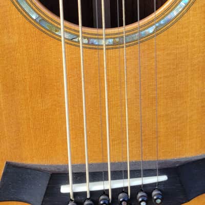 Taylor GT-8 Baritone (2010) - Rosewood/Sitka - 8 string - Excellent condition image 2