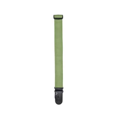 Immagine D'Addario Planet Waves Polypro Adjustable Guitar Strap, Green - PWS107 - 3