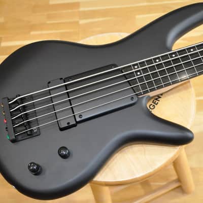 IBANEZ GWB35 BKF Black Flat / Gary Willis Signature / 5-String Fretless Bass / GWB35-BKF image 1