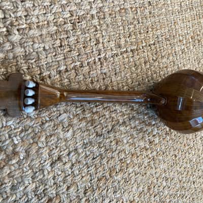 Mohammadi Brothers Kamancheh Kamanche spike fiddle image 4