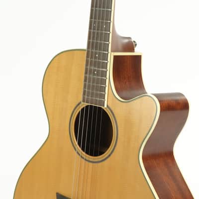 Parkwood Acoustic Owned by Greg Howe image 9