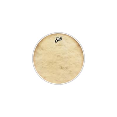 EVANS 20" EQ4 Calftone - Bass Drum Fell image 1
