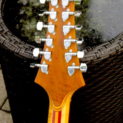 Alembic LSG Series I 12-string 1977 image 6
