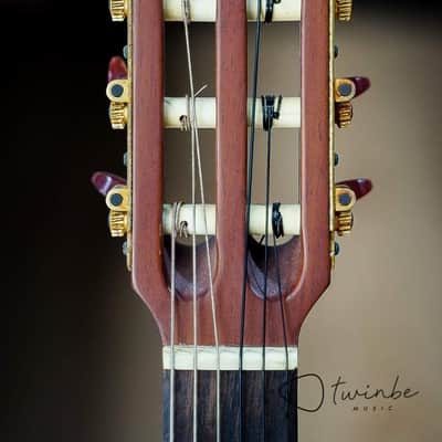 Rare Ibanez SC500N image 3