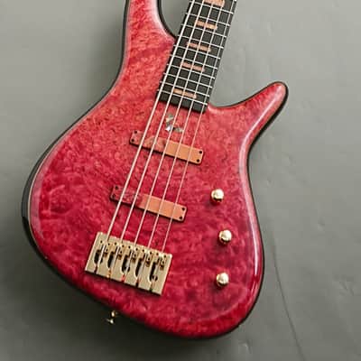 ベース Sugi NB5E FL 432 KAURI/H-MAHO 40th Sugi NB5E 432 BM-EX/H-MAHO 40th/Ruby［GSB019］ | Reverb