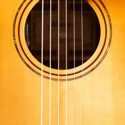 Alvarez Masterworks MD60ce Dreadnought Acoustic/Electric Guitar - Shadowburst with Hardshell Case image 11