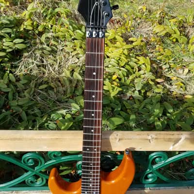 1995 HAMER USA Diablo LEFT HANDED Lefty - Transparent Amber image 7