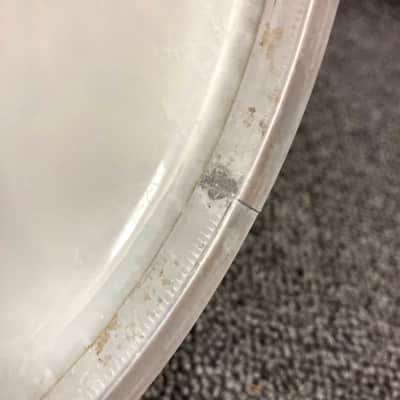 NOS Aquarian 8" Response 2 Coated White Drum Head TCRSP2-8 image 10
