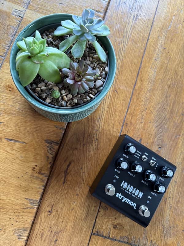 Strymon Iridium 2019 - Present - Black image 1