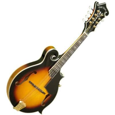 Gold Tone GM-70+ F-Style Mandolin image 2