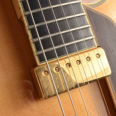 D'Aquisto D'Aquisto New Yorker DQ-NYE Electric Guitar Beautiful Condition Pro Setup Aquisto Jimmy image 7