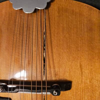 Harmony ? Mandolin imagen 4