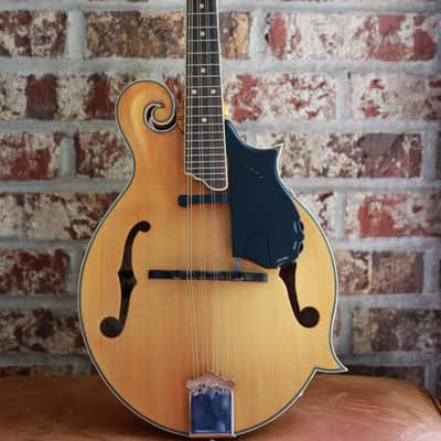 Epiphone MM-50E Professional Mandolin 2010s - Vintage Natural image 1