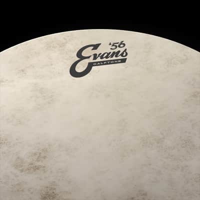 Evans '56 Calftone Drum Heads-12" image 3