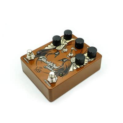 Vs Audio VS Audio BlackBird Deluxe Preamp & Bias Tremolo image 3