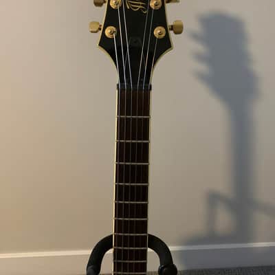 Cort Triggs TRG-1 Hollowbody image 3
