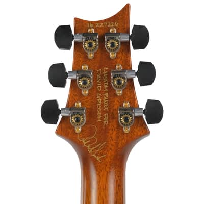 PRS Birds Of A Feather Private Stock Guitar Of The Month Owned by David Grissom image 8