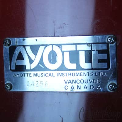Ayotte Custom Drum Set 22x18,12x9,13x10,14x14,16x16 Bass/Toms 5Piece Kit Ray 90s image 7