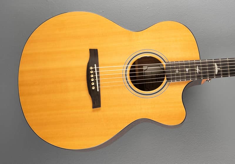 Paul Reed Smith SE Angelus A30E, Recent