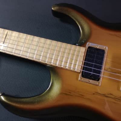 Parable Strat style HH Spalted Maple Electric Guitar 2023 *** FREE SHIPPING *** image 6