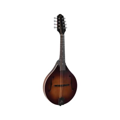 The Loar LM-110 Honey Creek A-Style Mandolin - Satin Brownburst image 2