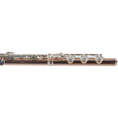 William S. Haynes Custom 14K Gold Flute with Gold Toneholes, Offset G, C# Trill image 13
