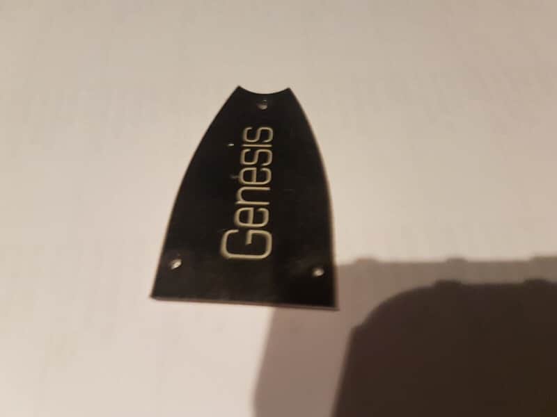 1979 Epiphone Genesis Truss Rod Cover image 1