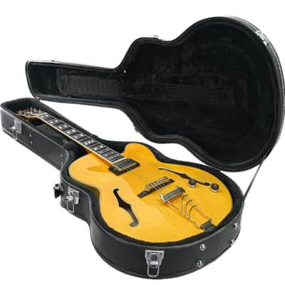 Ibanez PM2-AA Pat Metheny Signature Model image 16