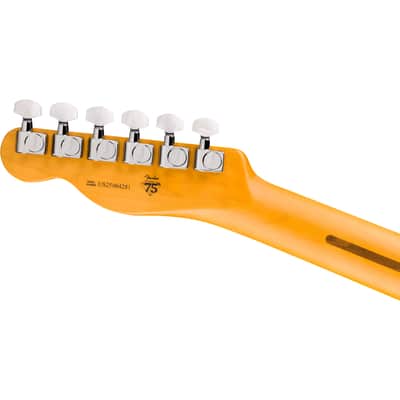 Fender American Professional Classic Cabronita Tele CAR image 6