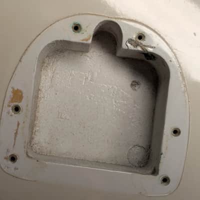 Authentic 1965 Fender JAZZMASTER Body with Vintage Parker BODY-GUARD Shield image 4