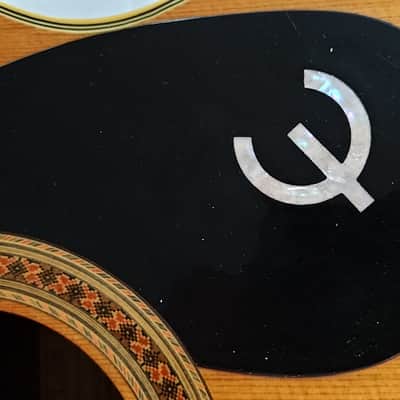 Epiphone FT-135 image 3
