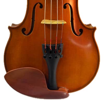 DZ Strad Model 609 4/4 size image 3