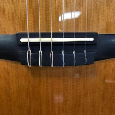 Taylor Custom GA Nylon String, 2012, with Case - Pre Owned image 6