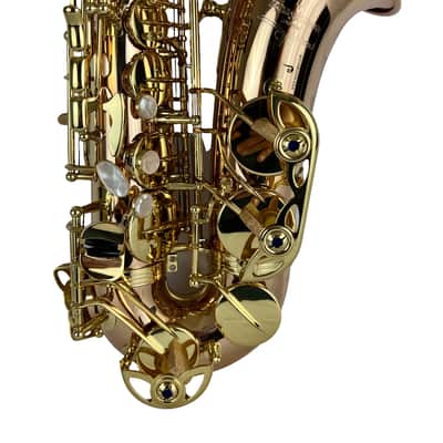 Yanagisawa AWO20UL Unlacquered Bronze Elite Alto Saxophone New In Box! image 8
